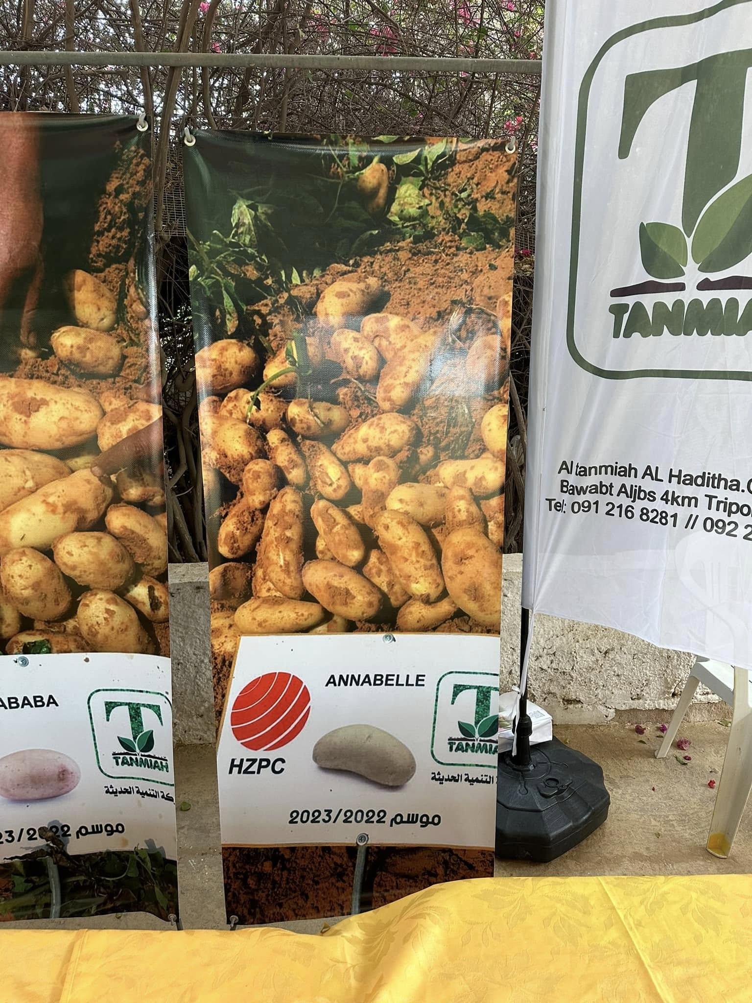 مشاركات المعارض والأحداث