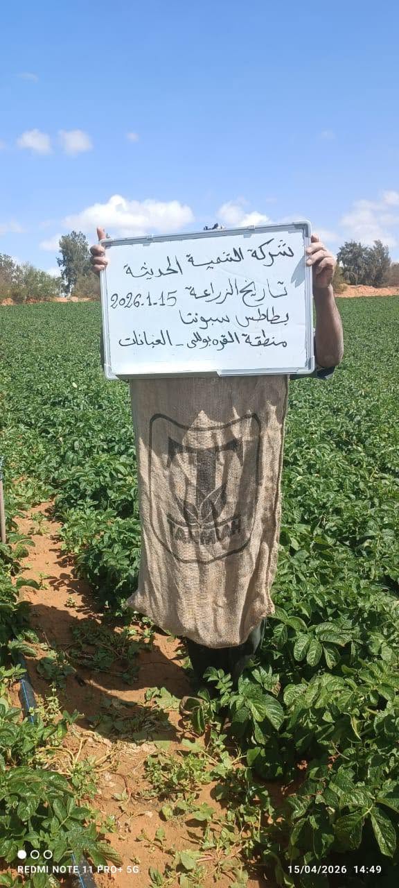 متابعة النمو والحصاد