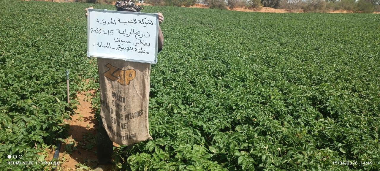 متابعة النمو والحصاد